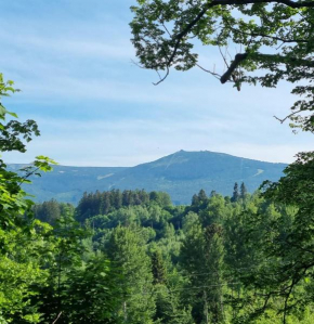 Apartamenty świerkowe 1